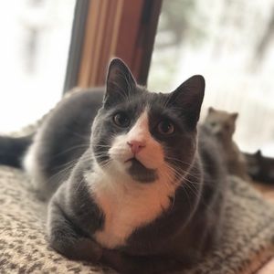 Meet your Posher, Casey